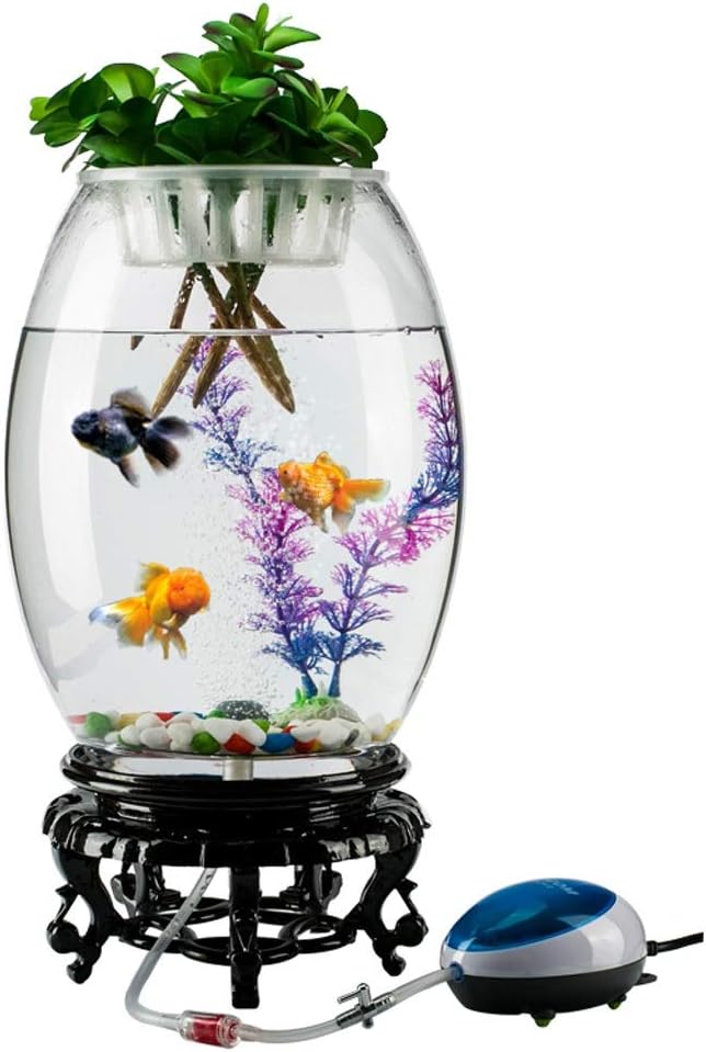 LED付き水族館 パーソナリティクリエイティブラウンド金魚タンク水族館リビングルームデスクファッション水族館デスクトップの装飾ホーム