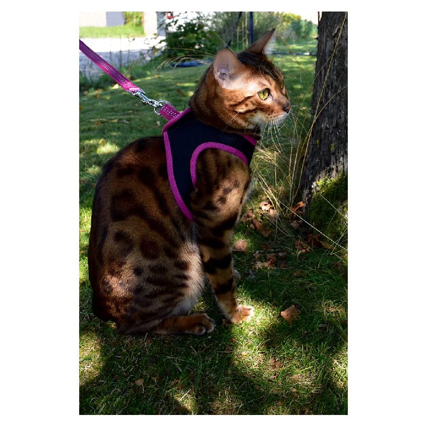 Bobby Safe Cat Harness with Leash, Harness for Extra Small Cats Puppy Cat Harness Set, Adjustable, Reflective, Red, For Cats 3-6 KG - Image 2