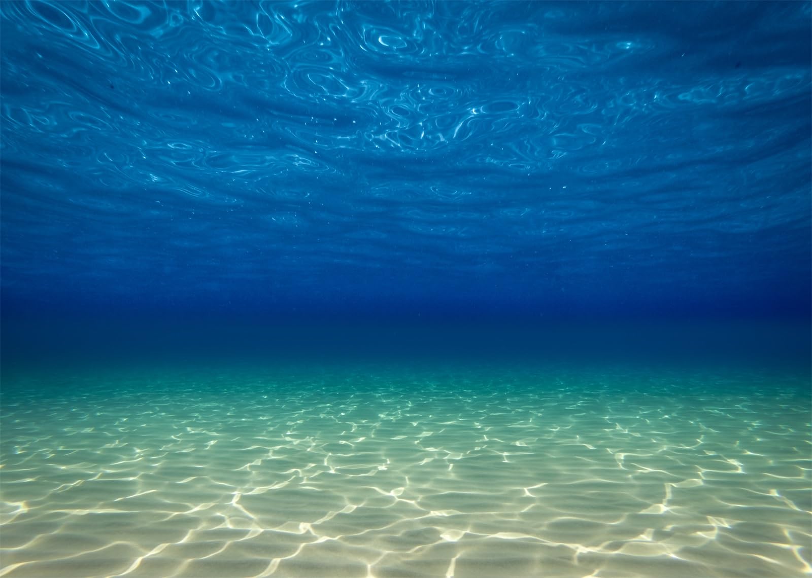 Sfondo Fotografico 7x5 Ft Mondo Sottomarino - Tema Mare Profondo Per Foto, Feste E Studio - Foto 4