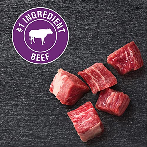 Cesar Soft Wet Dog Food Classic Loaf In Sauce Filet Mignon Flavor, (24) 3.5 Oz. Easy Peel Trays #TOP3