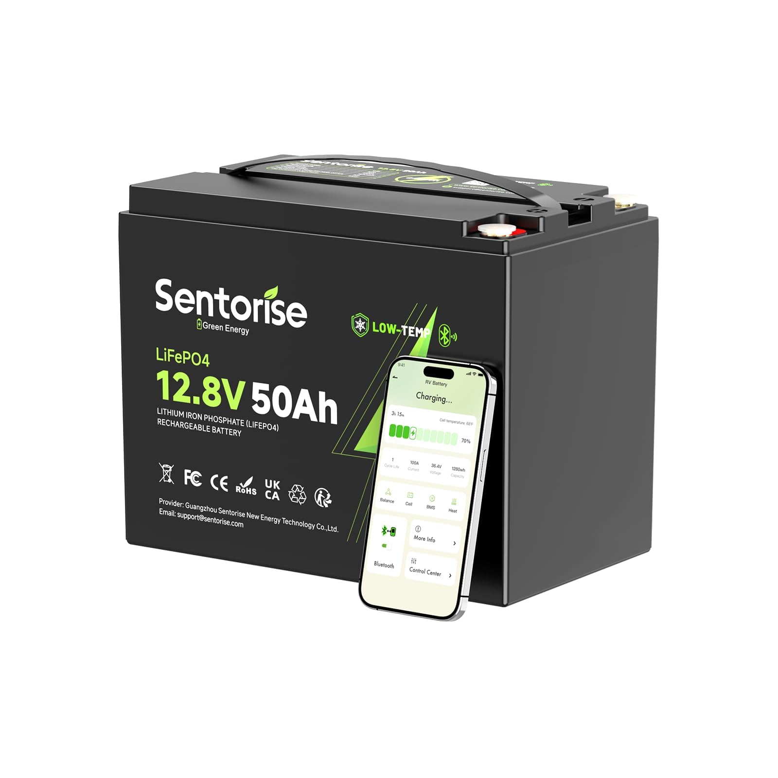 Batterie LiFePO4 12.8V 50Ah 640Wh Batterie à décharge profonde avec BMS 50A, protection basse température Remplacement léger pour camping‑car, marine, bateau, solaire, camping