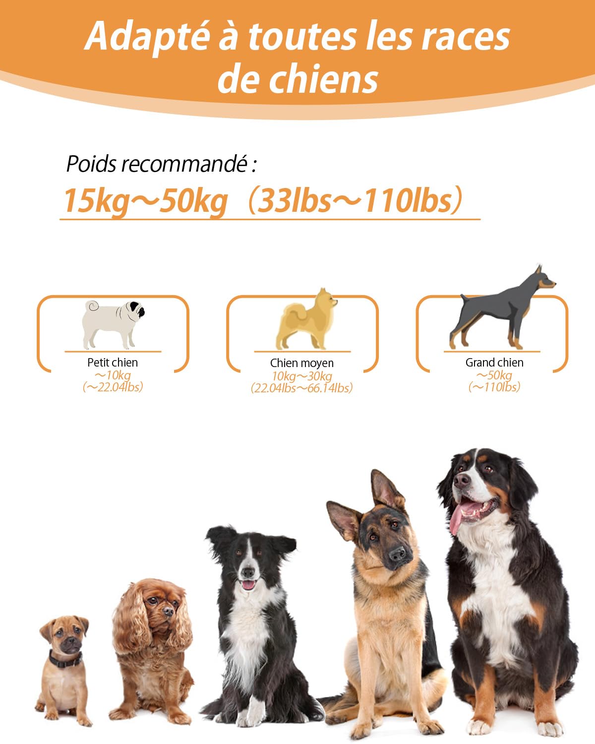 Harnais de Marche Main Libre pour Chien - Laisse Multifonctionnelle Renforcée 2.9m Réglable, Boucle de Sécurité Voiture (Orange)