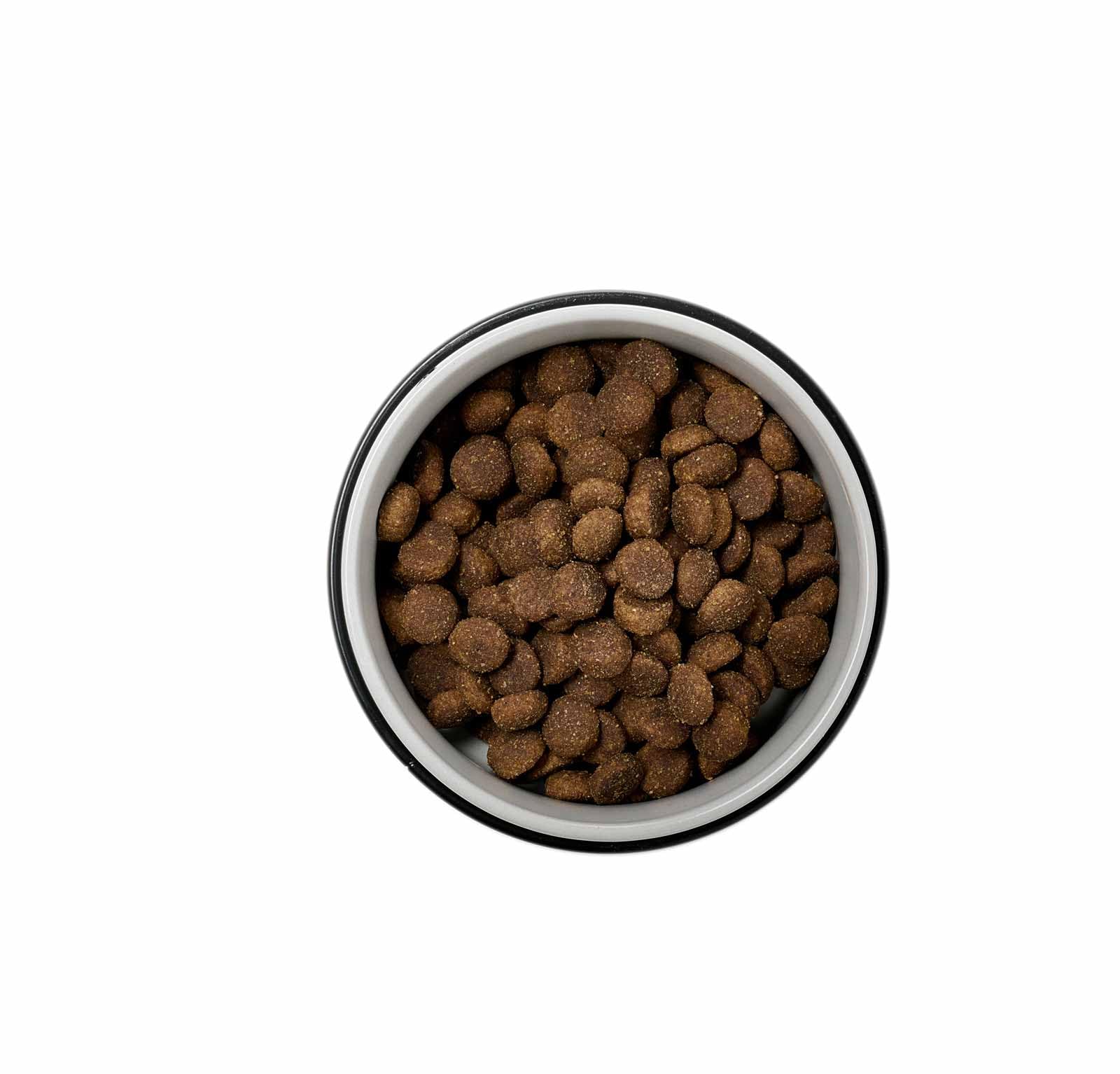 Ritzenhoff & Breker Taro Set di 2 ciotole per gatti con base | ø 14 cm | ciotole per cibo e acqua per gatti | ciotole in gres porcellanato con tappi in metallo | posizione rialzata | base per ciotola