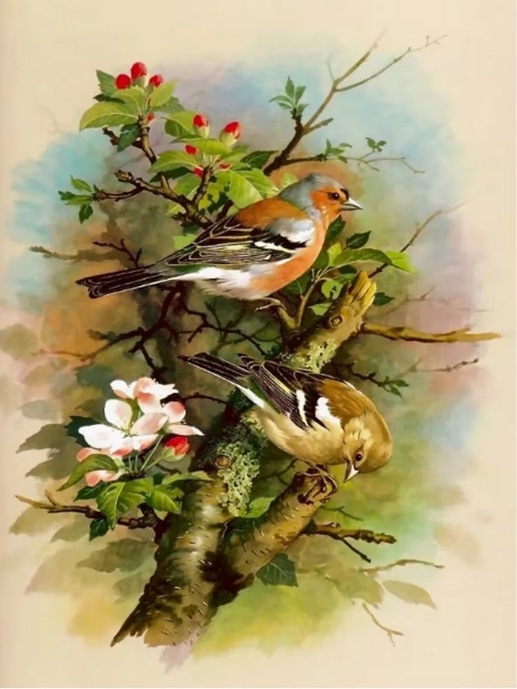Brennora Embroidery Cross-Stitch Kits for Adults Beginners Pre Printed Cross Stitch Kit 11CT Needlework Arts and Crafts for Home Decor Thrush 16x20 inch