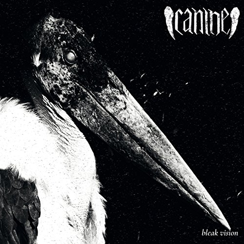 Cracked Shell [Explicit]