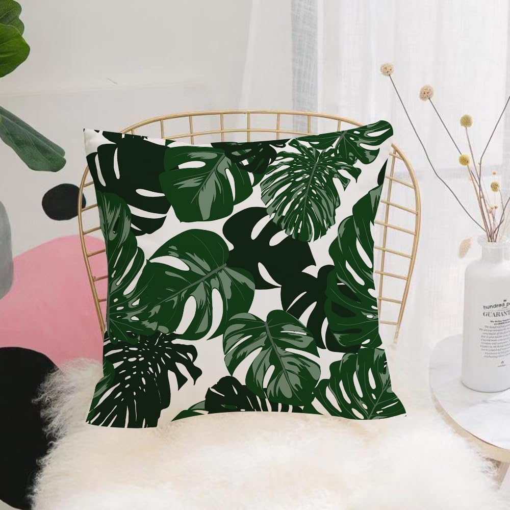 HYOSXW Cushion Cover,Throw Pillow Case Home Decorative for Living Room Bedroom Sofa Chair 16X16 Inch,Monstera deliciosa, dark green monstera leaves on white background,Pillowcase 40X40cm