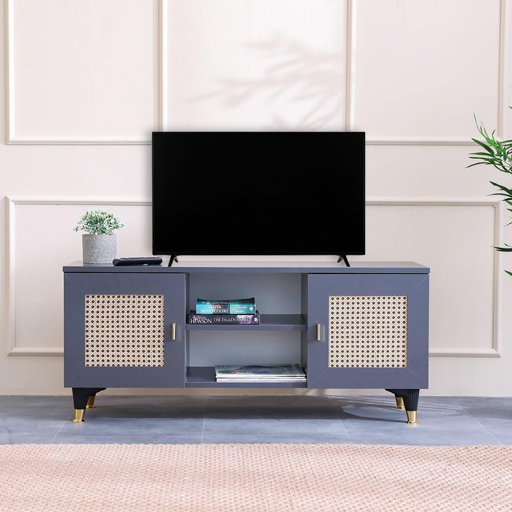 Danube Home Erva TV Cabinet for up to 55 Inches TV I Entertainment Modern Design Wall Unit Furniture I Wooden TV Stand for Living Room, Bedroom I Made in Turkey TV Rack - Grey