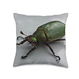 Beetle Bug Throw Pillow