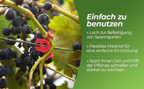 40 Stück Pflanzenbieger Winkel Grow LST Clips für Low Stress Training – 90 Grad Pflanzentrainer & Pflanzenstütze für effizientes Biegen – Gleichmäßigeres Wachstum und höhere Erträge (40 Stück)