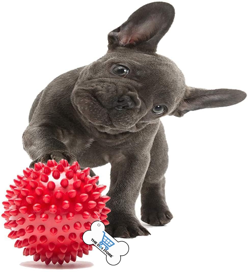 Cozy Puppies olid Rubber Dog Balls,Dogs Solid Rubber Bouncy Ball Bite Resistant and Indestructible Dog Training Ball,Pet Solid Rubber Bouncy Ball (Color May Vary) 1 Piece (B0CBCDZK7N) Amazon Price History, Amazon Price Tracker