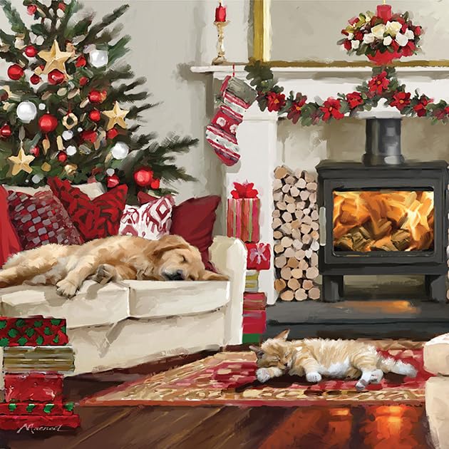 Noel Tatt Charity Christmas Cards Pack of 10 Cat & Dog in Cosy Home Scene