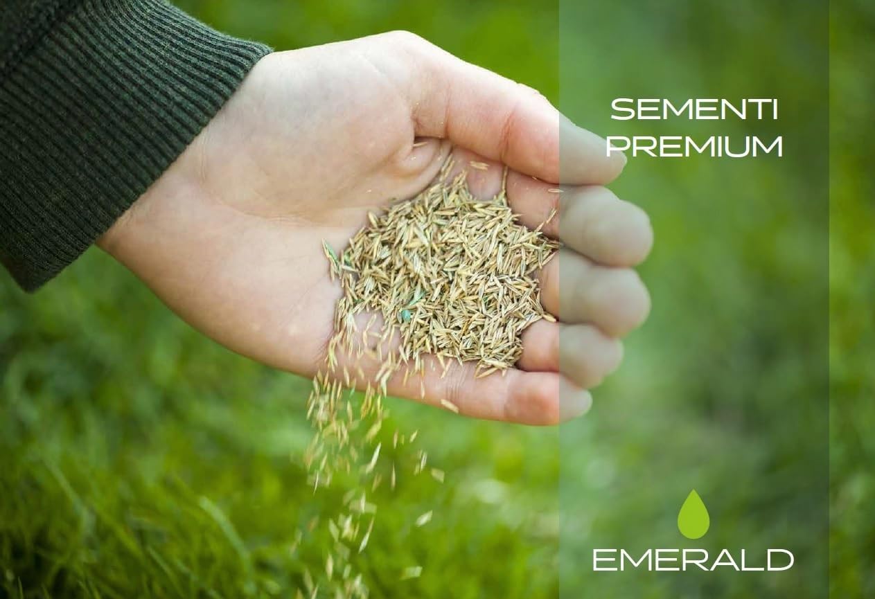 Emerald RAPID, Semi per Tappeto Erboso a Crescita Veloce, Prato Denso e Resistente, Ideale per Giardini, Aree Verdi, Rinnovo Prati,1kg x 40mq (3, Kg)