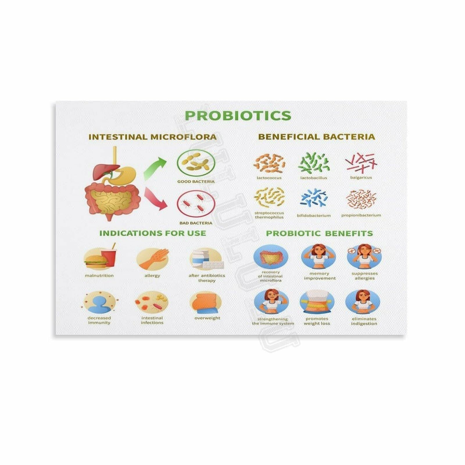 MDBJTCYZN Nutrition Science Poster Guide to Probiotics and Their Role in Health Canvas Wall-Art for Classroom Study Room Decor(Framed,08x12inch(20x30cm))