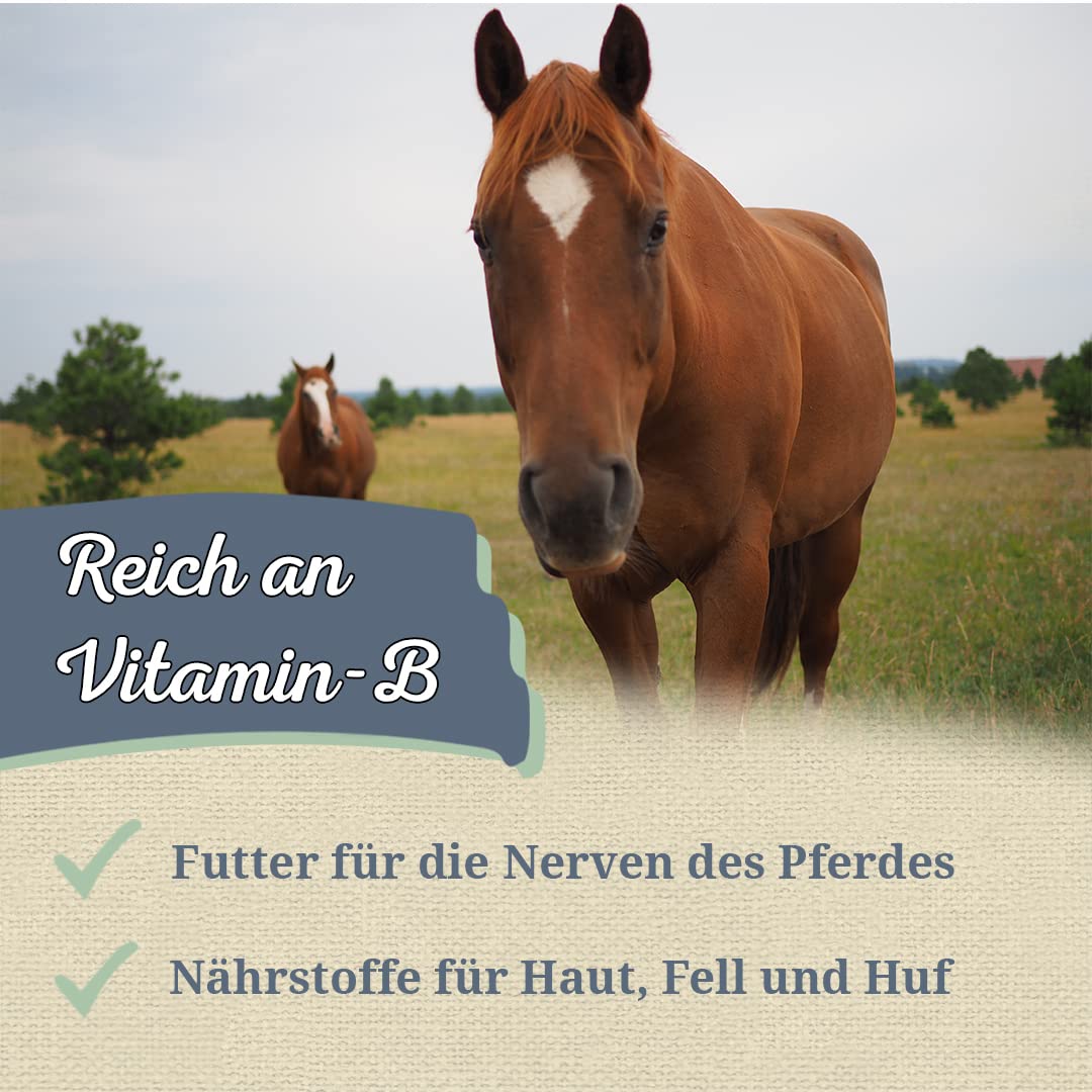 Krauterie Bierhefe für Pferde, Pulver (5000 g)
