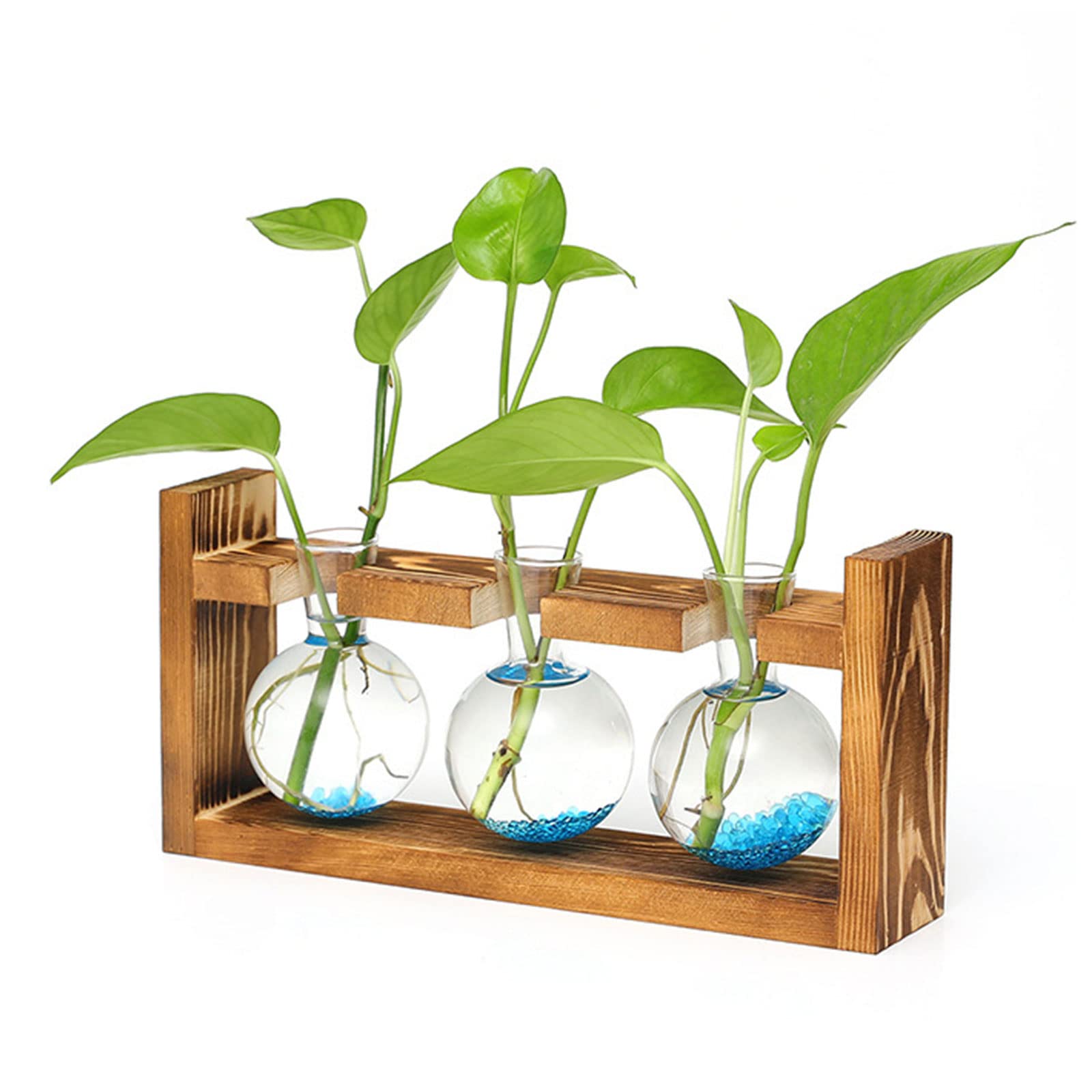 XXXFLOWER Pflanzen-Terrarium Mit Holzständer, 5 Glasvasen, Hydrokultur-Deko