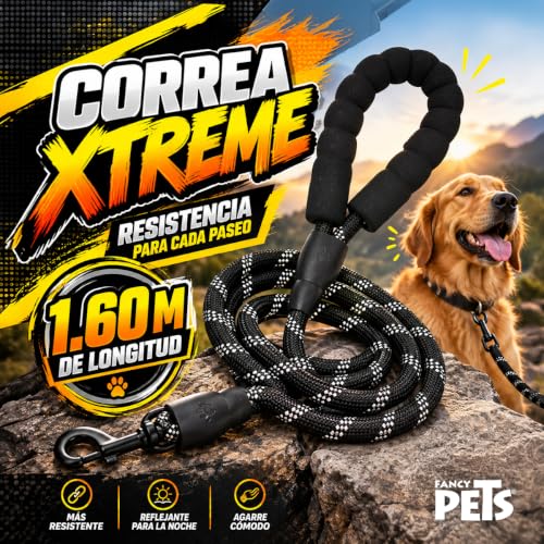 Correas para perros pequeños 2 Imagen adicional