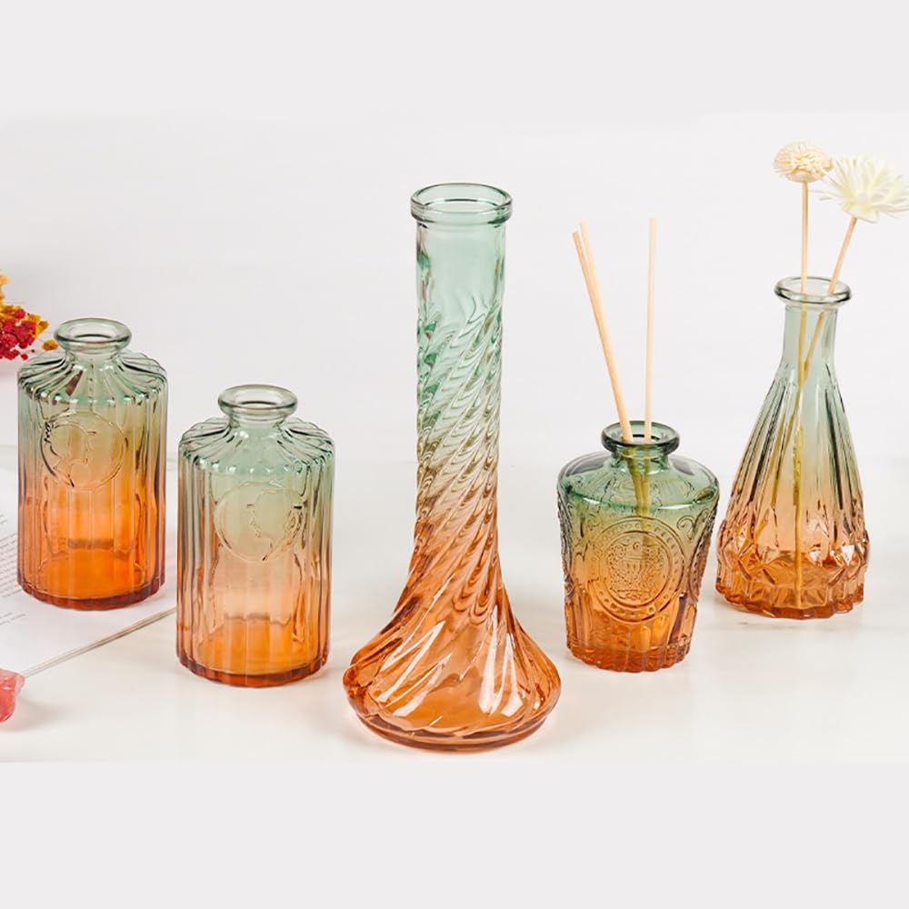 Glass Bud Vases Set of 5, Decorative Glass Bottles, Retro Gradient Color