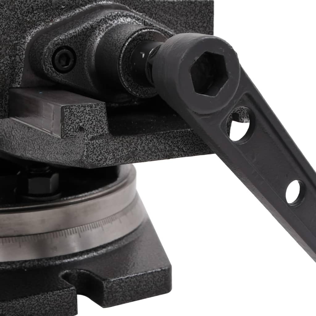 2-Achsen-Schraubstock 160 mm Kippbar aus Gusseisen mit Schwenk- und Drehfunktion, Höhenverstellbar, für Werkstatt, Metall- und Holzbearbeitung, mit stabilem Basisgestell