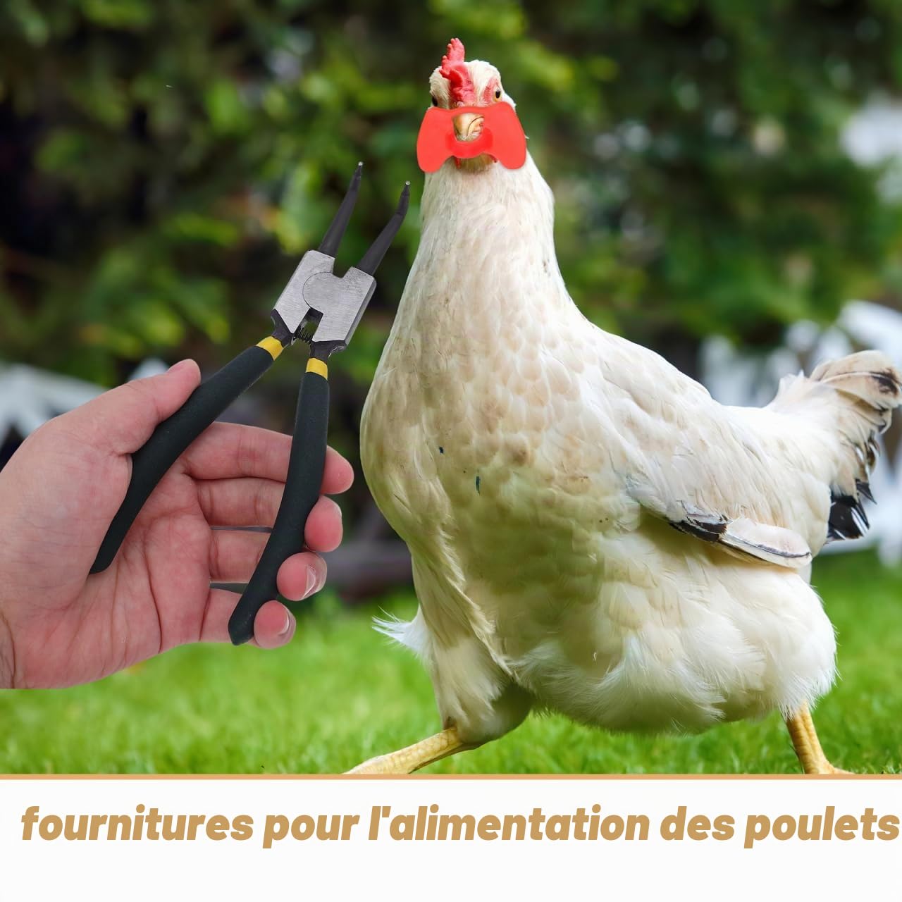 Happyyami Lunettes Anti-Picage pour Poules Outils De Contrôle De Picage De Poulet en Plastique avec Protection Oculaire Pratique pour Volaille Domestique