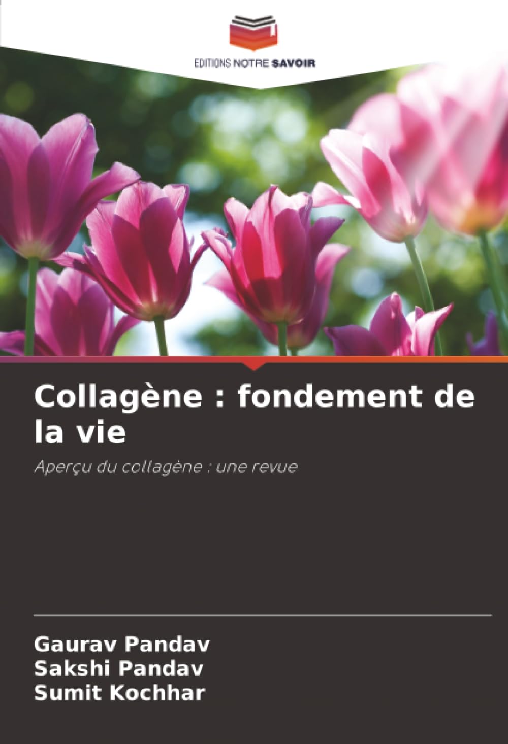Collagène : fondement de la vie: Aperçu du collagène : une revue