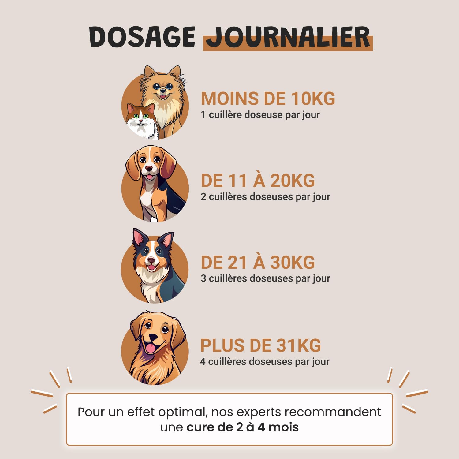 Démangeaisons Chien - Complément Alimentaire Anti-Grattage - Levure de Bière Bardane Pissenlit Lavande - Peau Saine & Pelage Apaisé - Formulé par des Vétérinaires - Fabriqué en France