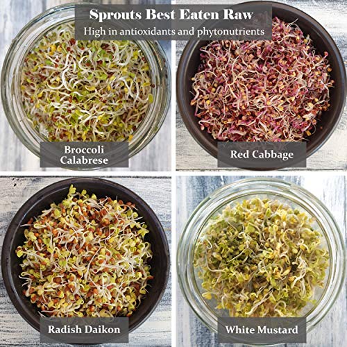 Organic Sprouting Microgreen Seeds 8 Variety Starter Packs (300g) - Broccoli, Alfalfa, Red Cabbage, Pea, Cress, Kale, Radish | High Germination to Sprouts & Microgreens