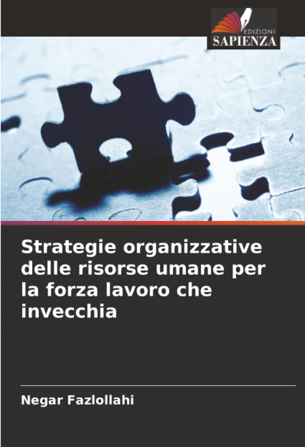 Strategie organizzative delle risorse umane per la forza lavoro che invecchia
