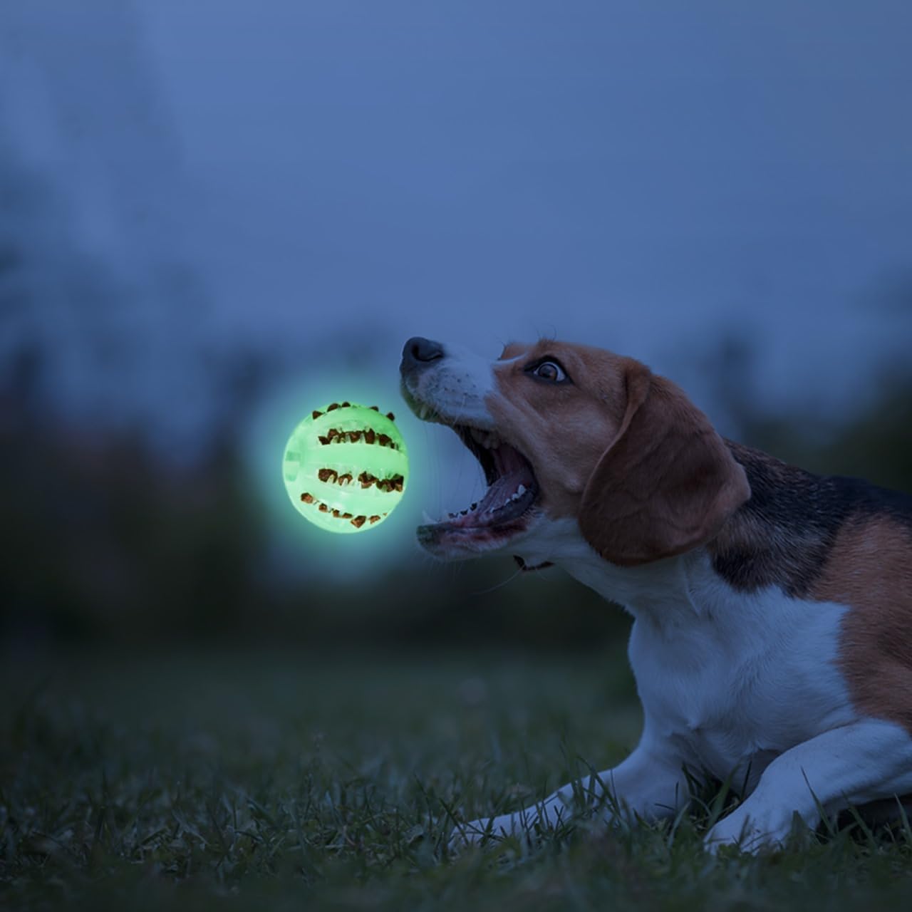 Fuzzl Super Glow Dog Ball and Rugby Treat and Dental Toy - Image 4