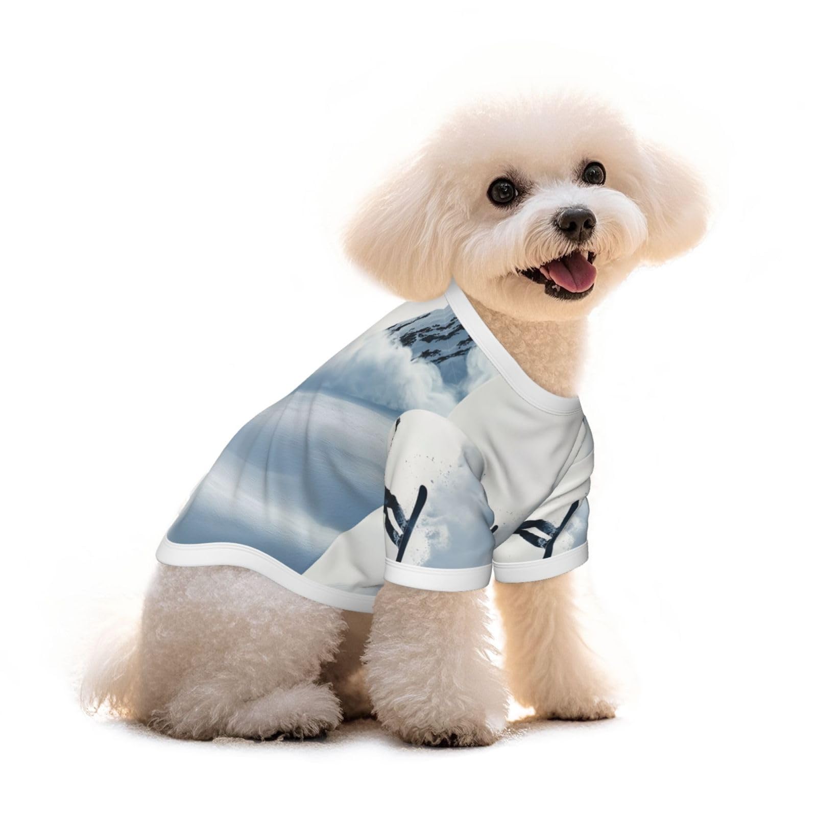 T-shirt pour chien pur coton léger vêtement haut de gamme pour teckel et chiot