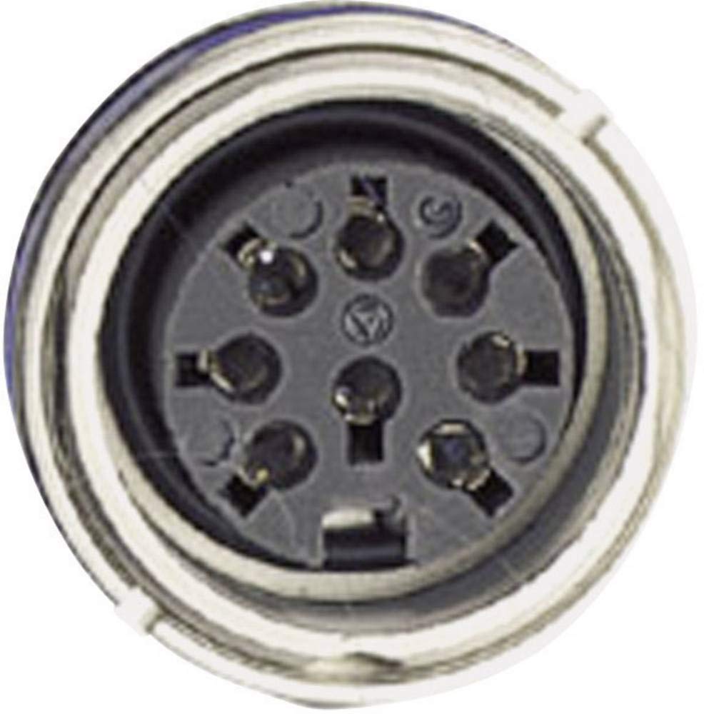 C091 31N003 100 2 Rundplug Buchse, Einbau Serie (Rundsteckverbinder): C091 Gesamtpolzahl