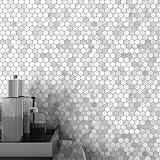 BeNice Peel and Stick Backsplash Kitchen Mosaic Tiles Penny Hexagon Small Metal Stickers(10PCS,Silver)