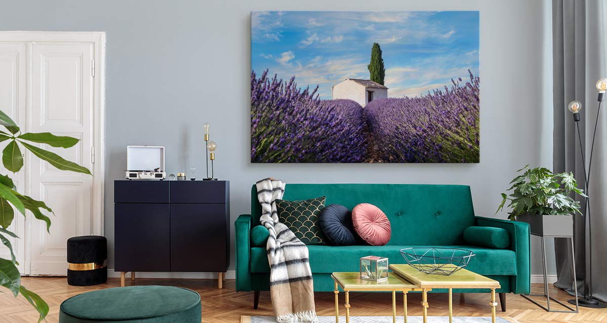 Muralo Wandbild Blumen, Lavendel, Natur, Landschaft - 120x80 cm | Leinwandbild, Modernes Design, hochauflösender Druck - ideal für Schlafzimmer und Wohnzimmer, Frühlingsflair das ganze Jahr