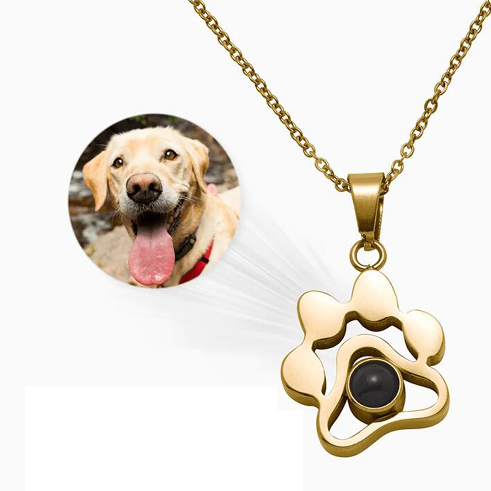ROMTZD Customise Pet Memorial Plaques with Photo, Projection Key Chain, Memorial Cat/Dog Gift Customized Pet Picture Keychain, Pets Bereavement Gifts Loss Of Pet Gift (Golden)