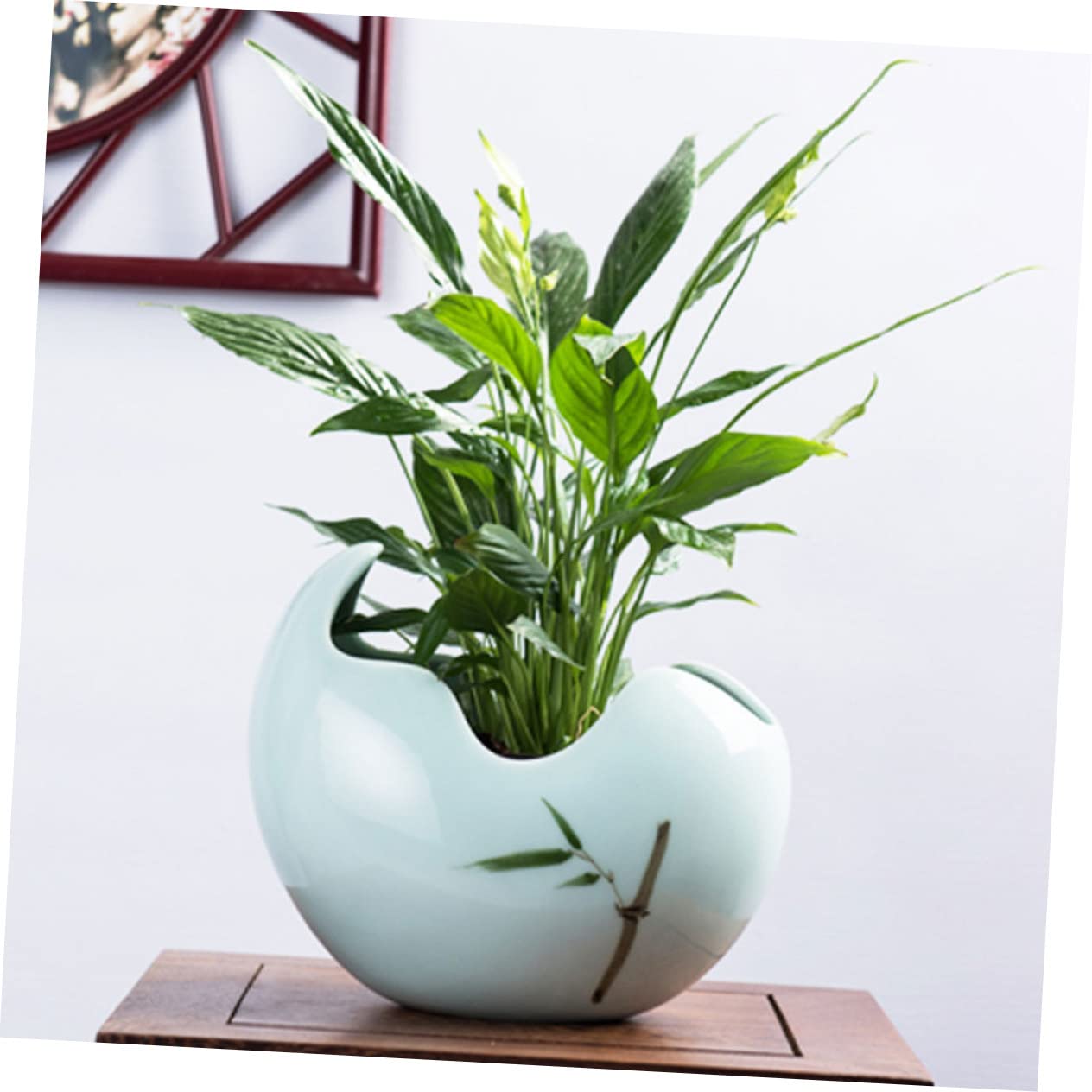 BESTonZON 1 Stück Mini Bonsai für Sukkulenten und Kleine Pflanzen Dekoration für Perfektes für Pflanzenliebhaber