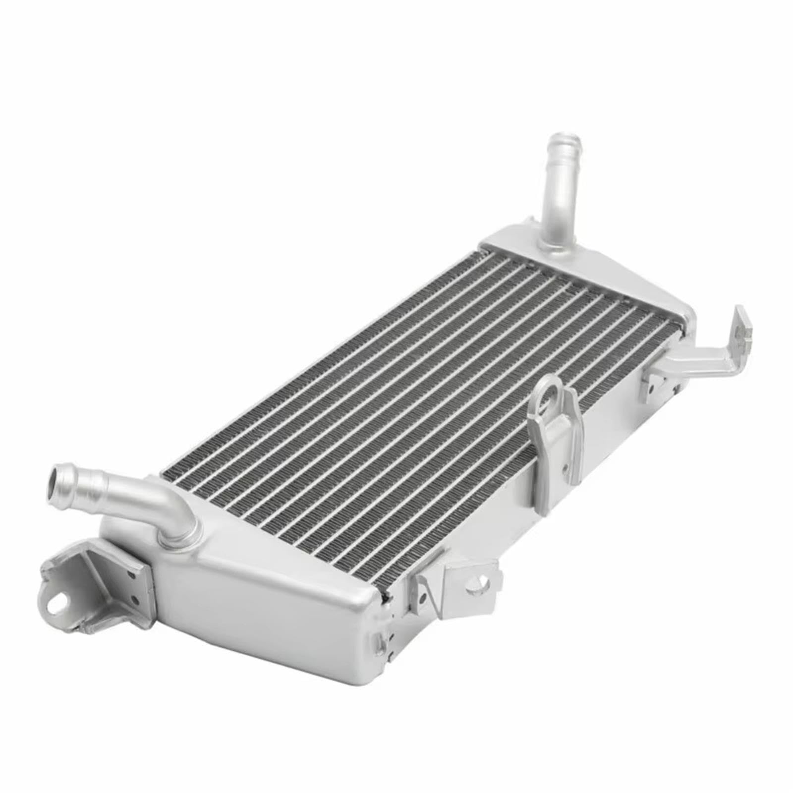 Serbatoio Espansione Liquido Raffreddamento Moto Per M1000R