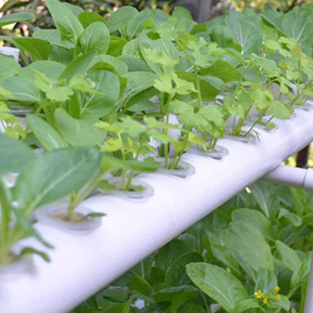 Hidropónico de 36 Agujeros, Kit de Cultivo hidropónico con Tubo hidropónico de PVC para Cultivo de Plantas sin Tierra