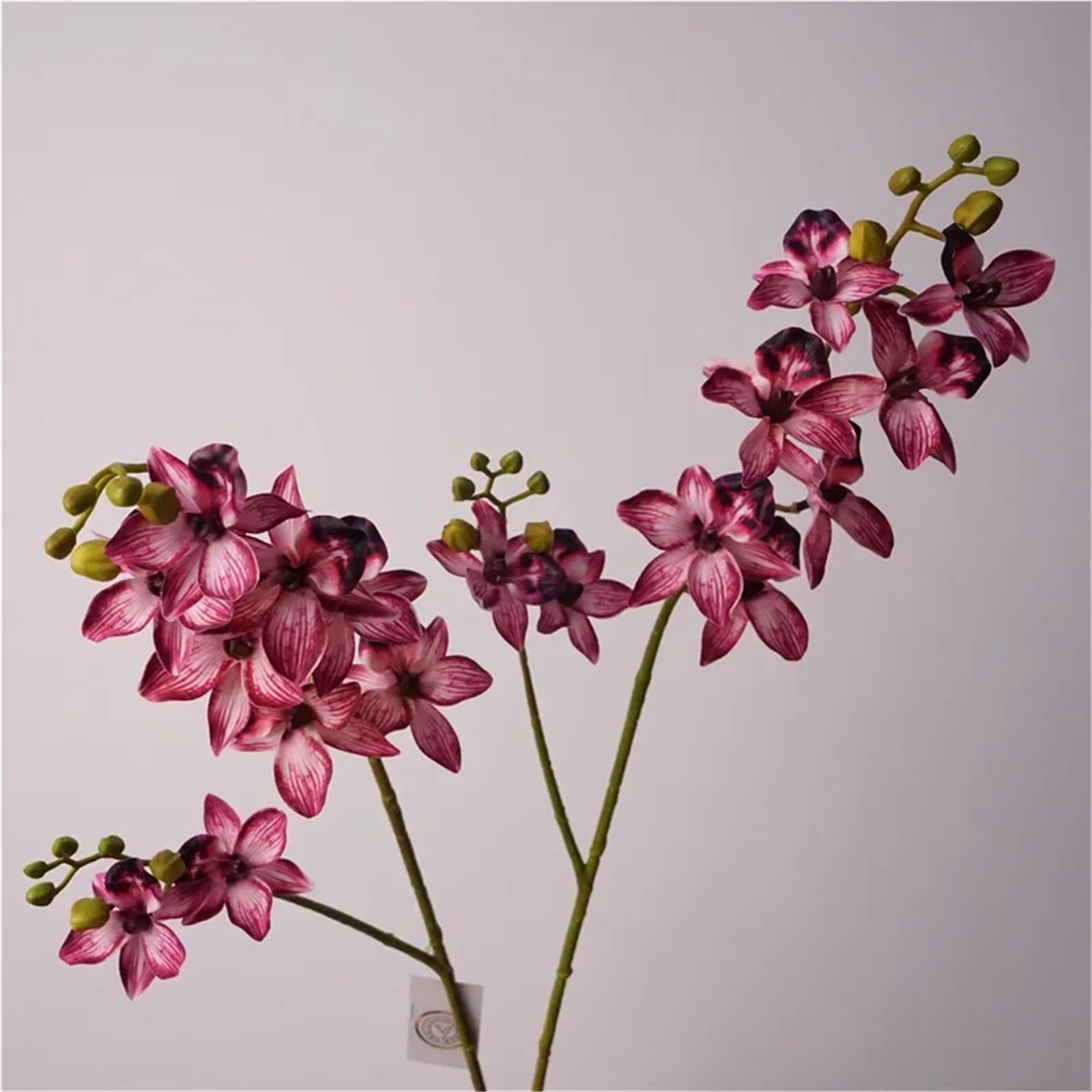 Orchidée papillon artificielle Orchidée artificielle au toucher réel