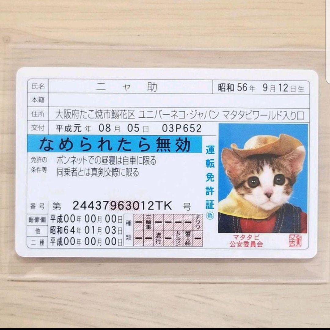Amazon.co.jp: なめ猫 免許証 ニャ助 なめんなよカードコレクション 