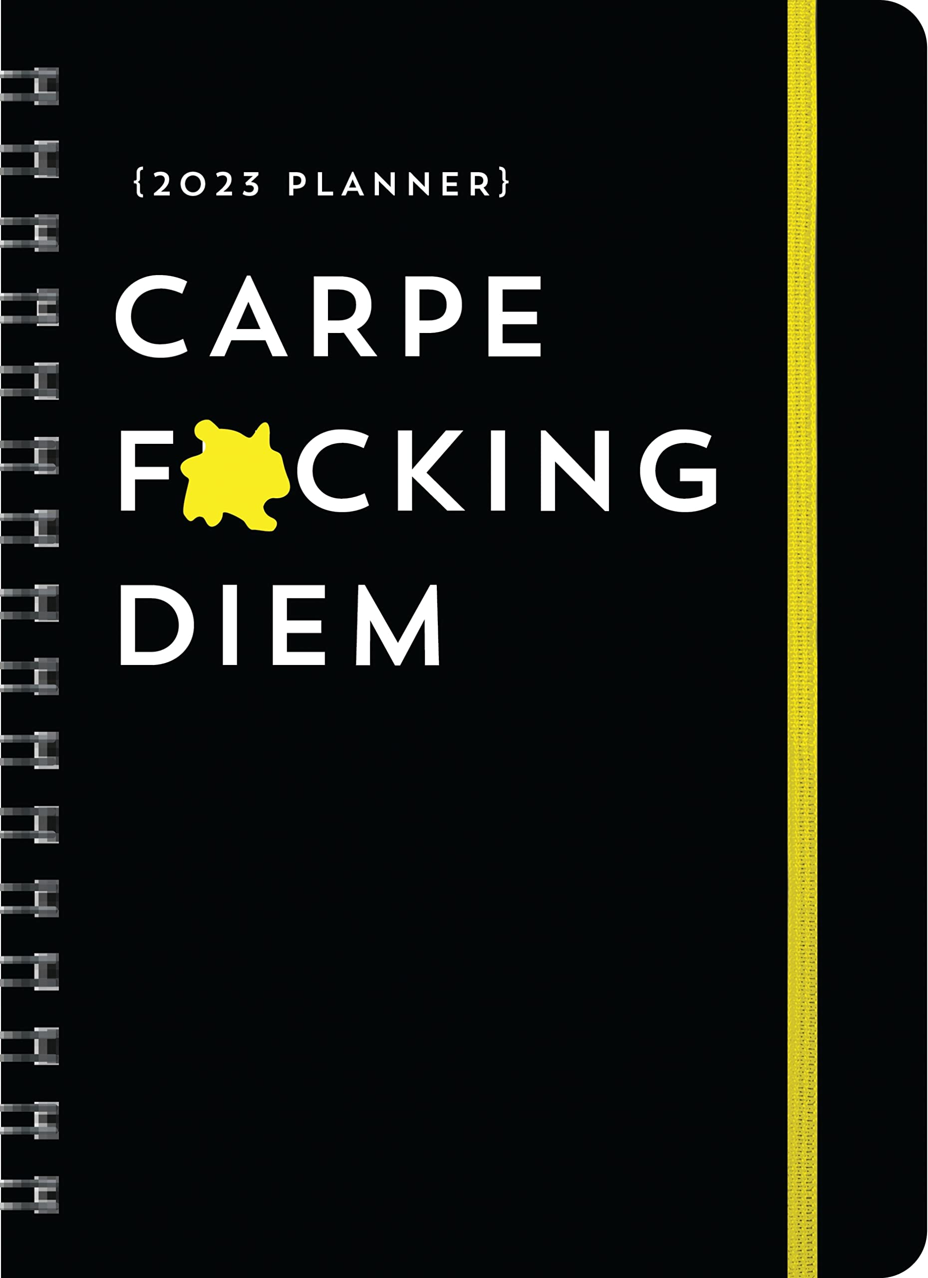 2023 Carpe F*cking Diem Planner: August 2022-December 2023 (Calendars & Gifts to Swear By)