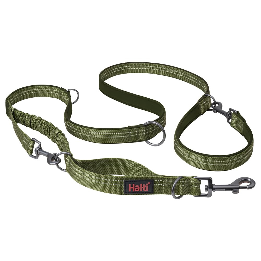 HALTI Anatomy Multifunktionsleine – Doppelführleine mit Zwei Karabinern und Ruckdämpfer, ideal zum Gassigehen & Hundetraining. Reflektierend & leicht. Geeignet für Welpen (Größe L, Grün)