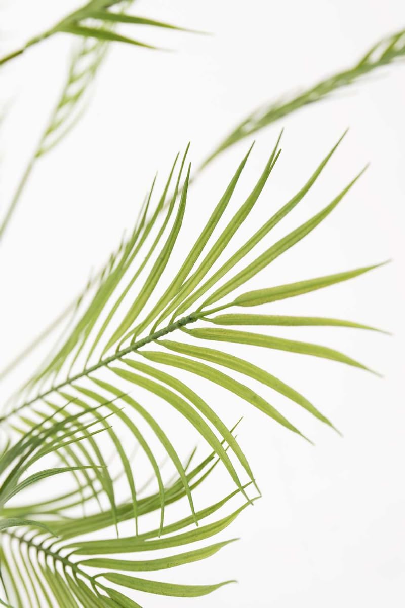 Regalos Miguel - Figuras Decorativas - Planta Artificial Palmera Helechosa - 130