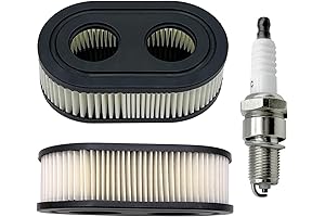 Toro Recycler 22-Inch Air Filter (593260)