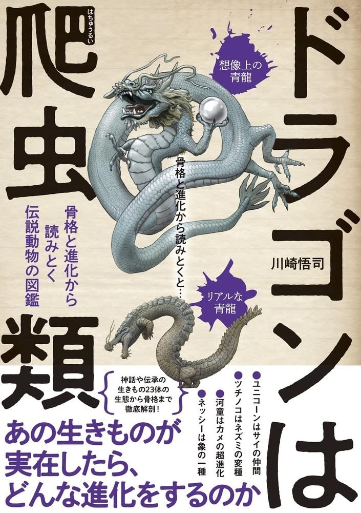 ドラゴンは爬虫類 骨格と進化から読みとく伝説動物の図鑑 川崎 悟司 本 通販 Amazon
