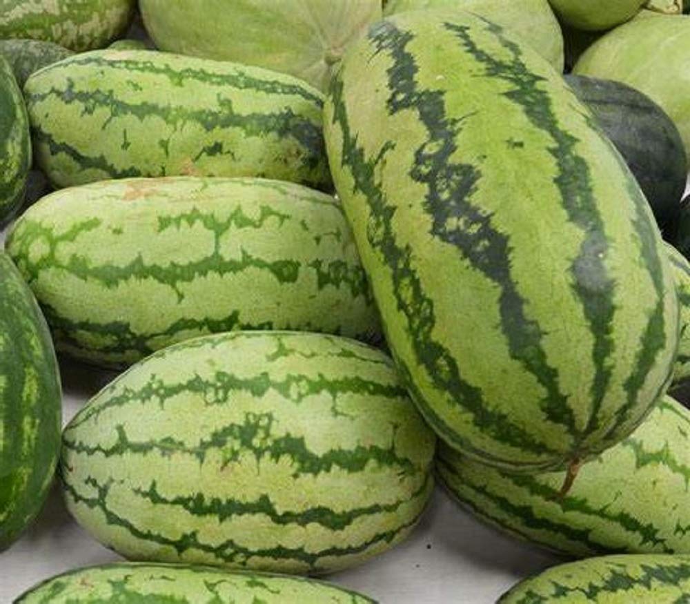 jubilee watermelon