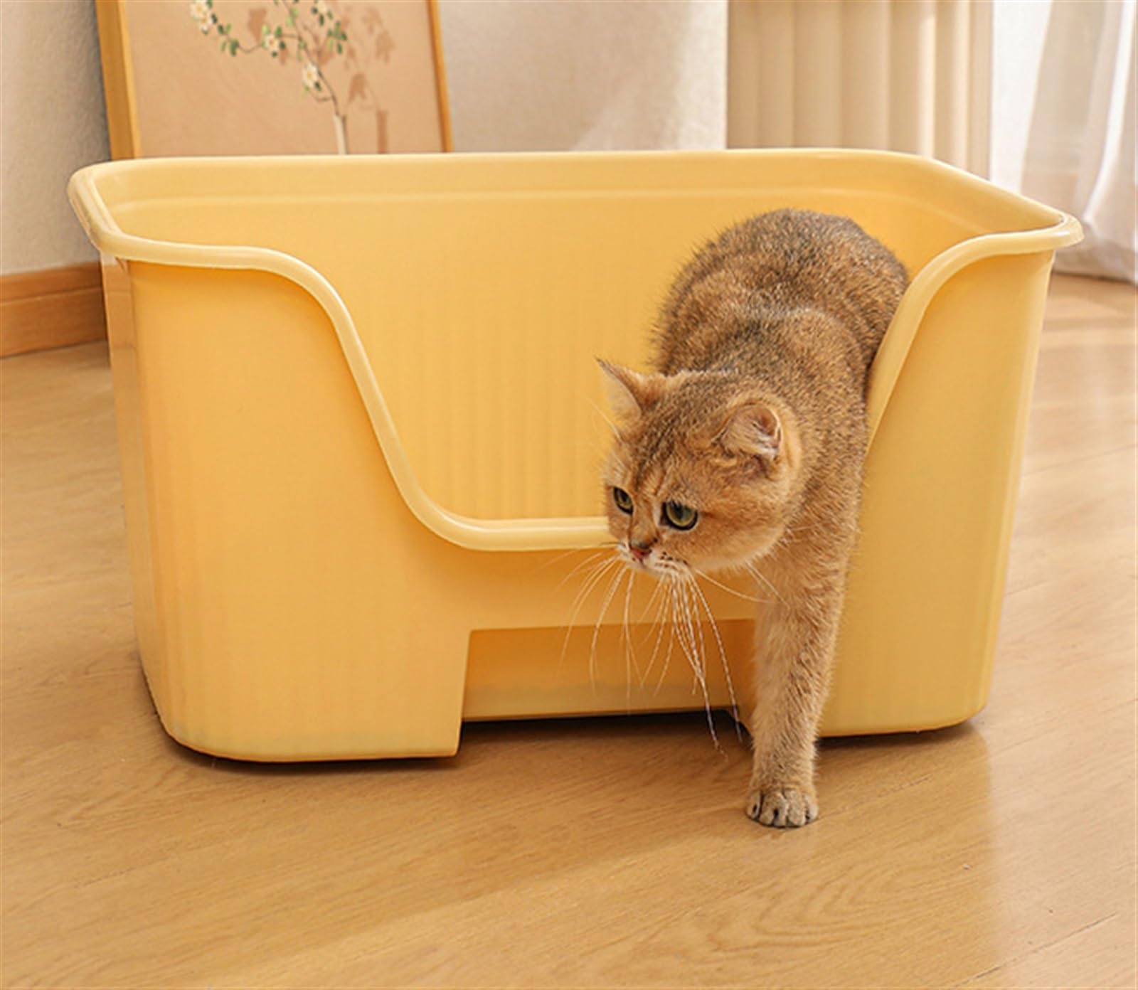 Katzentoilette Katzenklo Katzentoiletten Mit Hohen Seiten, Offene Katzentoilette, Katzenstreu Mit Erhöhten Kanten Für Den Innenbereich Reisetoilette Katze(Purple)
