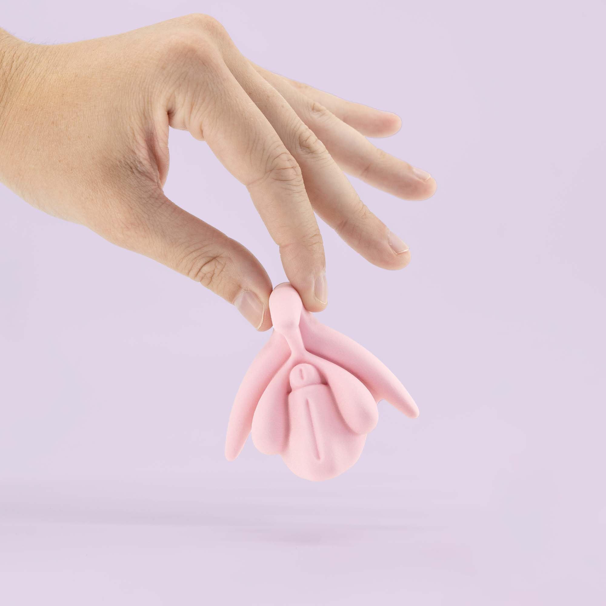 Medintim | Modèle éducatif | Anatomie du clitoris en 3D (Rose)