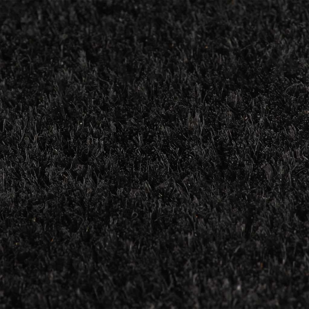 Hothingwell Paillasson Fibre de Coco 40 x 60 cm Noir
