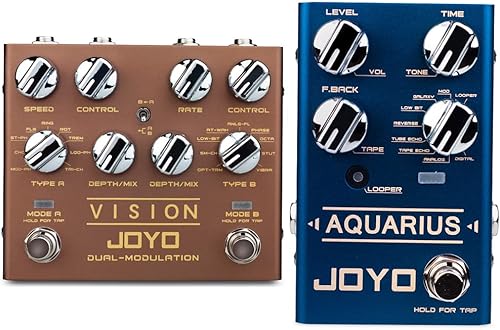 JOYO R Series Vision - Pedal de modulación de doble canal y pedal de retardo digital para guitarra eléctrica