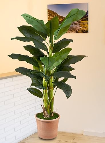 Miniatura 4 de Serene Spaces Living Árbol de plátano artificial grande en maceta de plástico negro, planta realista para balcón, sala de estar, cocina, oficina
