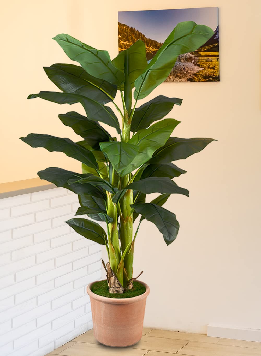 Amazon.com: Serene Spaces Living Large Artificial Banana Tree in an Black  Plastic Pot, Lifelike Potted Plant for Balcony, Living Room, Kitchen,  Office, Patio, Entranceway, Gift Idea, 16" Diameter & 65" Tall :